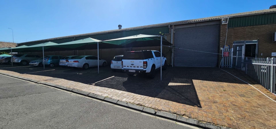 To Let commercial Property for Rent in Okavango Park Western Cape